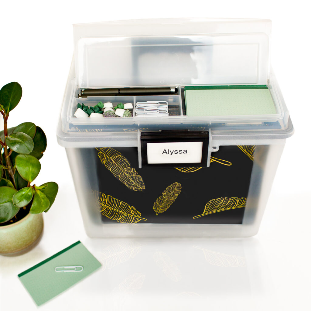 life-in-a-box; life-planned-in-a-box; life-planned-and-organized-in-a-box; document-organizer; alyssa-castro; botanical; file-tote-with-lid; document-management; affairs-in-order; essential-documents; vital-records; organize-your-life; organizing-for-add-adults; life-documents-organizer; end-of-life-documents; document-organization-filing-system; organizing-paperwork; plants-for-mental-health; plants-for-stress-relief; indoor-plants; portable-file-box; hanging-file-box; decorative-hanging-file-folders; botanical